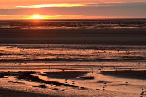 Baie a marÈe basse<br>NIKON D4, 240 mm, 1250 ISO,  1/640 sec,  f : 9 